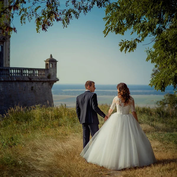 Visão traseira do casal recém-casado elegante de mãos dadas e desfrutando da bela vista da paisagem . — Fotografia de Stock