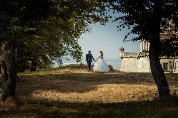 Vista posteriore a tutta lunghezza della straordinaria coppia di sposi che si tiene per mano e si gode il paesaggio mentre si cammina vicino al vecchio palazzo . — Foto Stock