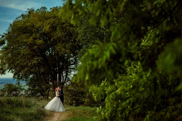 Abraçando o casal recém-casado sorridente é elegante casamento clothis no caminho da floresta. Tiro de comprimento total . — Fotografia de Stock