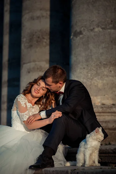 Matrimonio ritratto all'aperto. Sensuale elegante sposi felici sono teneramente abbracciati e seduti sulle vecchie scale del castello con il gatto bianco soffice . — Foto Stock