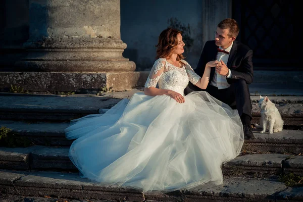 Allegro elegante coppia di sposi si sta tenendo per mano mentre seduto sulle scale con il gatto bianco soffice. Vecchio castello posizione . — Foto Stock