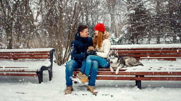 Weihnachtsporträt des verliebten Paares auf der Bank sitzend, während ihr sibirischer Husky bei Schneefall im Wald neben ihnen liegt. — Stockfoto