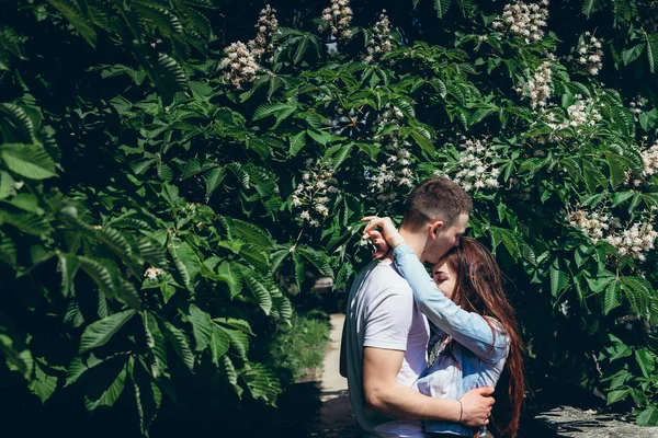 La sensual pareja de abrazos enamorados cerca del verde árbol floreciente en Budapest, Hungría. El hombre guapo besa tiernamente a su amante en la frente . — Foto de Stock