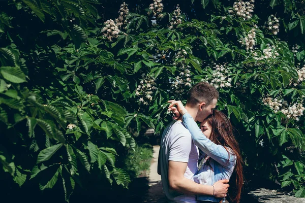 Le couple de câlins sensuels amoureux près de l'arbre à fleurs vertes à Budapest, Hongrie. Le bel homme embrasse tendrement son amant sur le front . — Photo