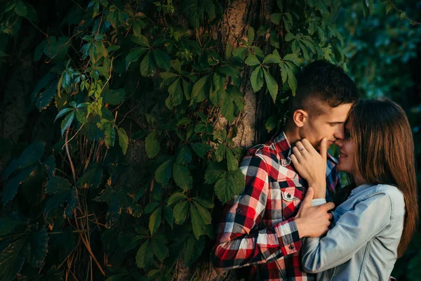 Ritratto romantico della giovane coppia amorevole teneramente abbracciata. La ragazza sta accarezzando dolcemente il viso del suo ragazzo sentire il muro coperto di verde. Breslavia, Polonia, posizione Centennial Hall . — Foto Stock