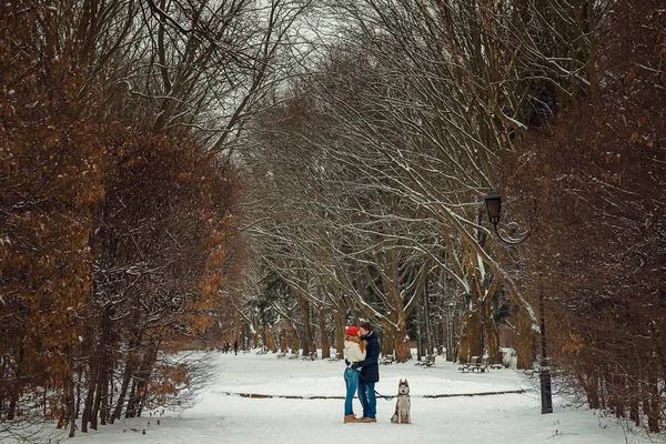 华丽的看法, 欢快的亲吻夫妇花时间与西伯利亚哈士奇在冬季公园. — 图库照片