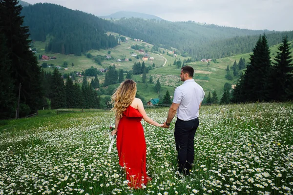 Vista posteriore della bella coppia caucasica che si tiene per mano mentre cammina lungo il prato di camomilla fino alle montagne coperte di alberi . — Foto Stock