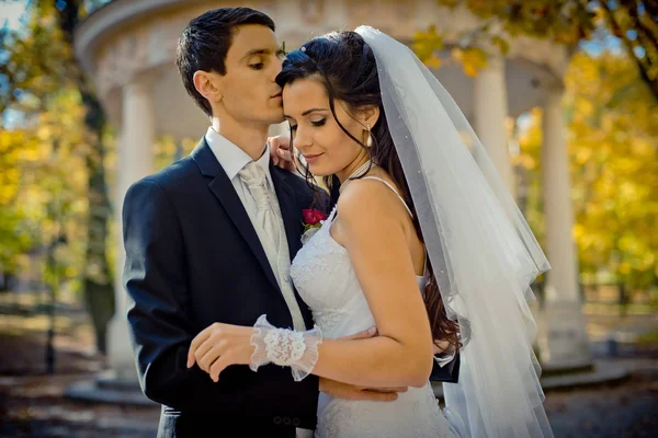 Retrato de casamento ao ar livre sensual. O noivo elegante é ternamente abraçando e beijando seu amante lindo na testa na floresta autunm . — Fotografia de Stock