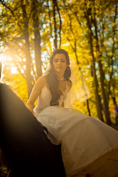 Sunny portrait of the attractive charming brunette bride with the flower in hair and in the long wedding dress sitting on the black horse in the autumn forest.