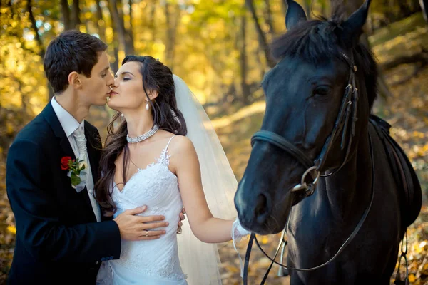 Stilvolles Brautpaar küsst sich beim Spaziergang mit Pferd durch den Herbstwald. Romantisches Hochzeitsporträt. — Stockfoto