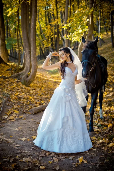 Retrato completo da noiva morena adorável elegante posando com o cavalo no parque de outono . — Fotografia de Stock