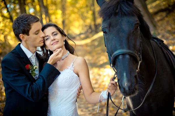 Retrato dos recém-casados sensuais e cavalo. O belo noivo está acariciando suavemente o rosto de sua adorável noiva. Localização da floresta de outono . — Fotografia de Stock