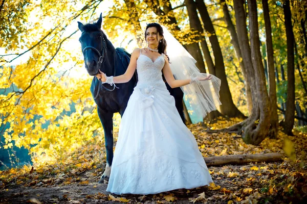 A noiva feliz bonita com maquiagem natural e sorriso bonito andando com o cavalo ao longo do parque de outono . — Fotografia de Stock