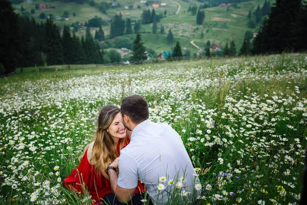 幸せなカップルの感情的な肖像画。男は山のデイジーの草原に座って額に彼の笑顔かなりブロンドのガール フレンドにキスします。. — ストック写真