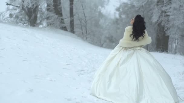 Vue arrière de la jeune belle mariée attrayante avec de longs cheveux bouclés noirs tournant autour et marchant le long du chemin enneigé dans la forêt . — Video