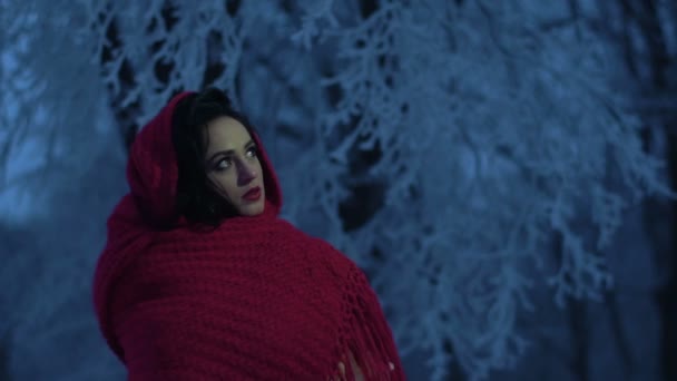 La belle mariée brune tendre avec rouge à lèvres rouge et enveloppée dans une écharpe tricotée rouge posant dans la forêt d'hiver la nuit . — Video