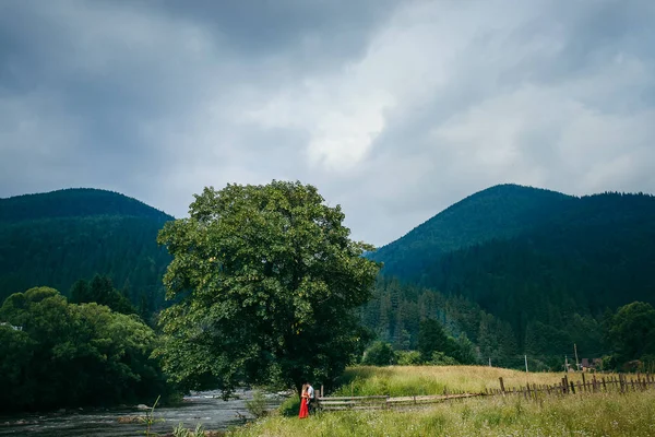Panoramatický pohled na krásnou krajinu pohoří pokryté zelenými stromy. Atraktivní pár objímání na daicy louku pod obrovským stromem nedaleko řeky. — Stock fotografie