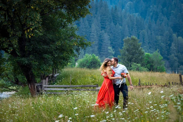 Retrato romântico emocional do homem bonito beijando sua linda namorada loira na bochecha enquanto caminha ao longo do prado margarida no fundo das montanhas verdes . — Fotografia de Stock