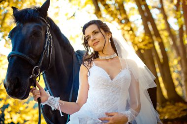 Çok güzel esmer gelinin şefkatle gülümsüyor ve sonbahar parkta atı ile poz yakın çekim düğün portre.