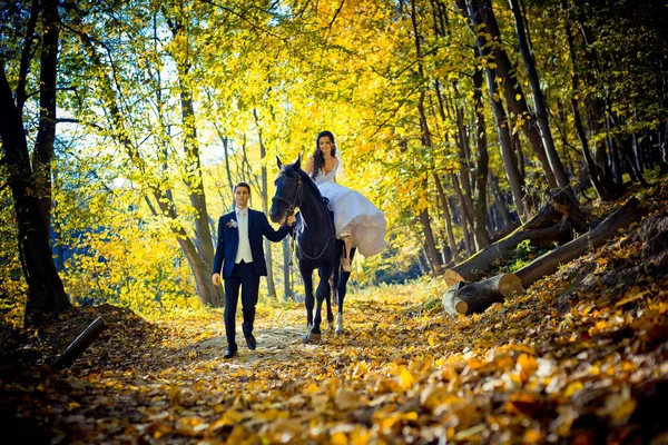 Bröllop utomhus porträtt. Den vackra attraktiva bruden befria hästen medan sin älskare promenader i närheten. Platsen för höstens skog. — Stockfoto