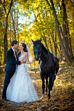 Full-length romantic wedding shot. The happy elegent couple of newlyweds is softly rubbing noses during their walk with black horse along the autumn forest. clipart