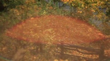 Ahşap çit ve güneşli içinde altın yapraklarla kaplı ağaçlar ile sonbahar park üzerinde hareketli görünümü.