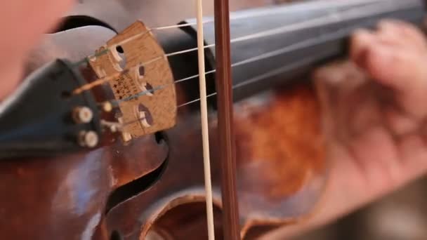 The musician is playing on the violin. Close-up view of the hands. — Stock Video