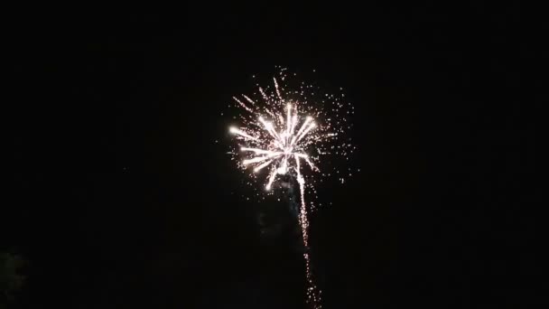 Vue rapprochée du feu d'artifice explosant en différentes couleurs . — Video