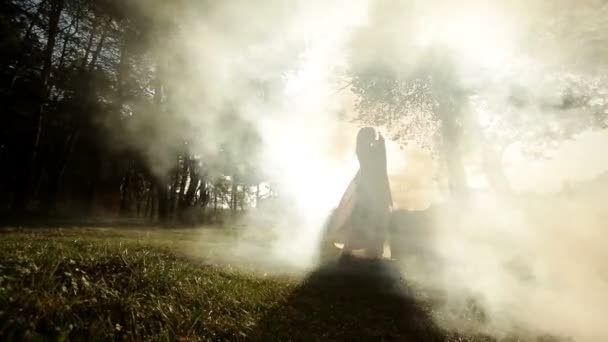 Вид в полный рост привлекательной женщины в белом, позирующей в тумане . — стоковое видео