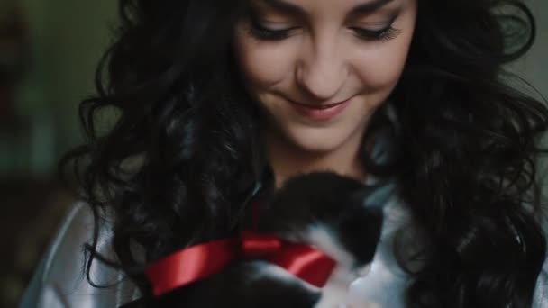 Närbild porträtt av den vackra bruden med svart lockigt hår och naturlig make-up håller den vackra grå kattunge med röd rosett. Skotska raka rasen. — Stockvideo
