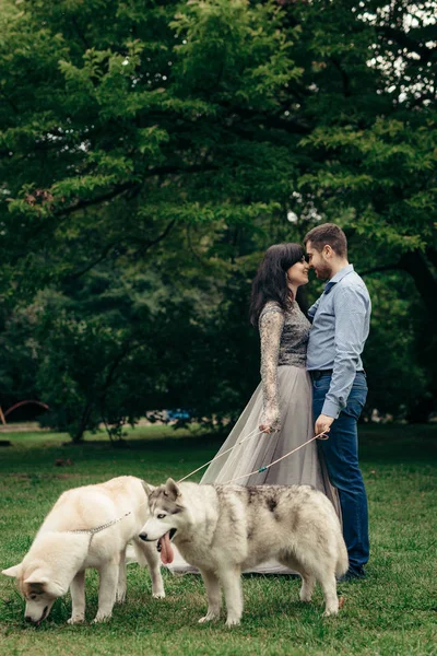 Sensible retrato de la feliz pareja elegante y encantadora frotando las narices durante su paseo con dos huskies en el parque. La atractiva morena en el largo vestido de noche . —  Fotos de Stock