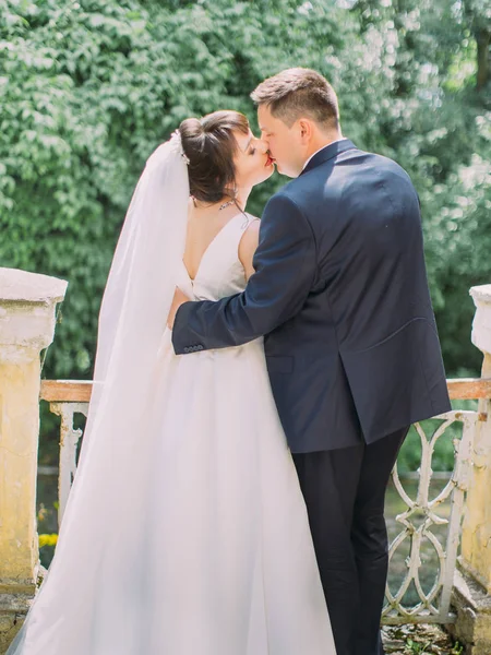 La vista trasera de los recién casados besándose en el jardín . — Foto de Stock