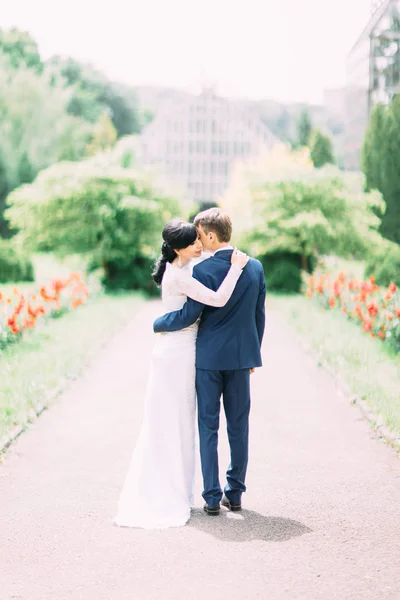 La vista trasera completa de los recién casados abrazados en el soleado parque . — Foto de Stock