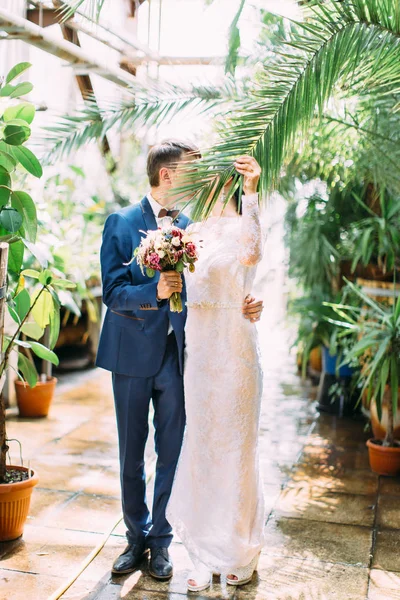 The bride is holding the palm tree leaf to close the kiss with groom. Greenhouse location. — Stock Photo, Image