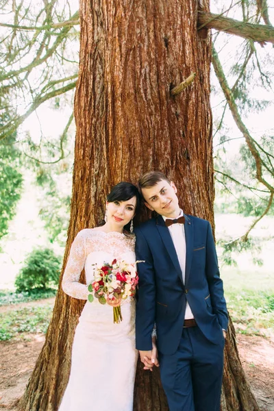 Joli portrait à mi-longueur du couple souriant tenant la tête et s'appuyant sur l'arbre . — Photo