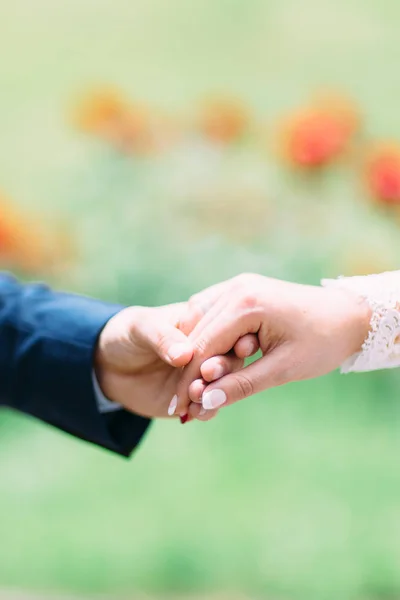 The holding hands of the newlywed couple. Royalty Free Stock Images