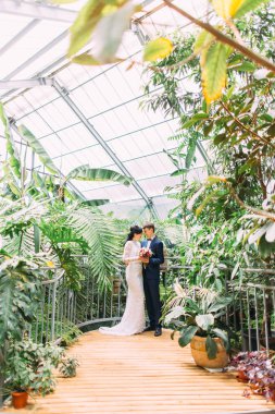 Sarılma yeni evliler sera içinde dikey tam uzunlukta görünümünü.