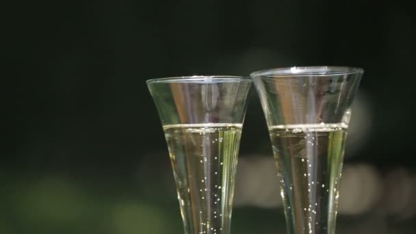 Primo piano di due bicchieri di champagne con bolle fluttuanti sullo sfondo verde sfocato . — Video Stock