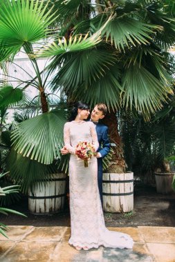 Mutlu damat sarılma büyük yeşil arka plan geri gülümseyen geline sera yaprakları.