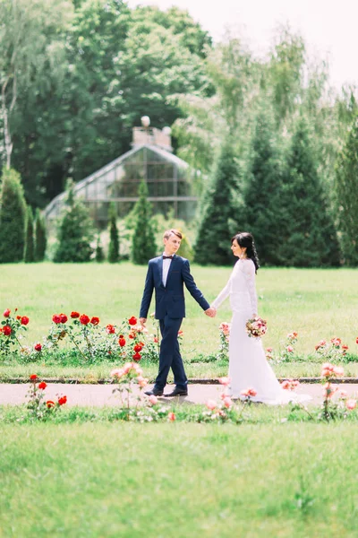 Nowożeńcy są trzymając się za ręce i spacery w parku. — Zdjęcie stockowe