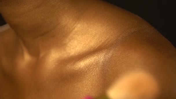 Vrouwelijke hand van de arstist van de professionele make-up de bronzer met het penseel op het lichaam, de nek en het sleutelbeen van het Afrikaanse model toe te passen. Geen gezicht. — Stockvideo