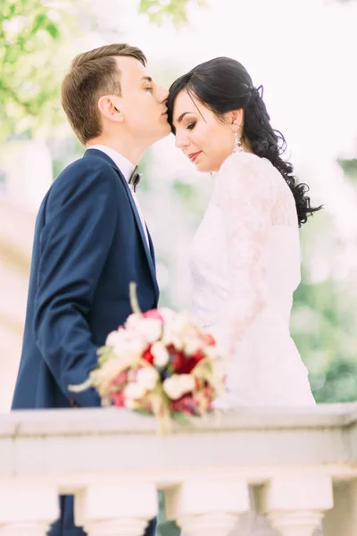 O noivo está beijando a noiva na testa. Retrato de meio-comprimento . — Fotografia de Stock