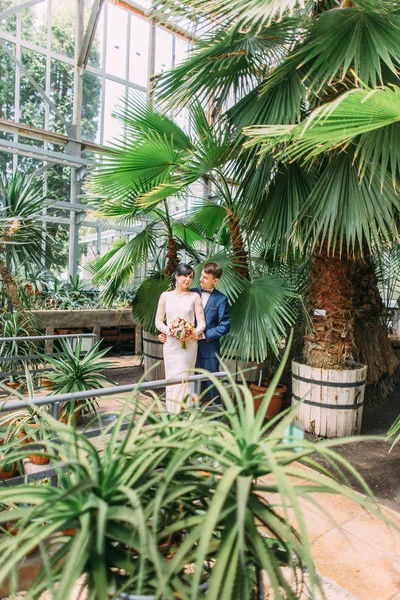 Abbracciare gli sposi circondati da diverse piante in serra . — Foto Stock