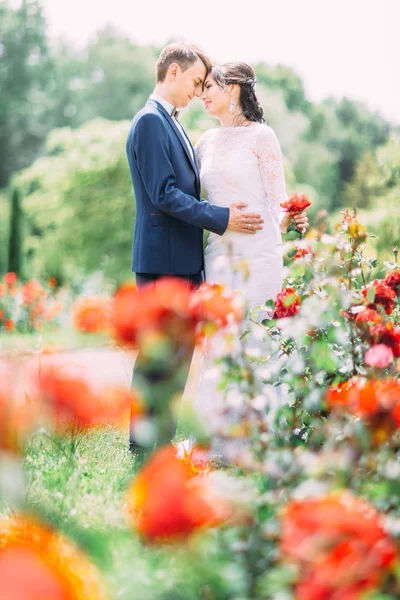 Les jeunes mariés câlins derrière le lit de fleurs rouges . — Photo