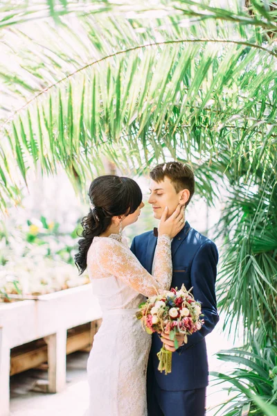 La mariée caresse la joue du marié souriant au-dessus du palmier dans le jardin botanique . — Photo