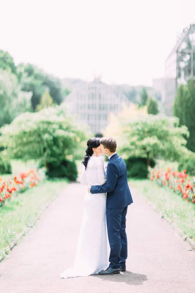 Brudgummen kysser bruden i kinden i parken. Vyn fullängds tillbaka. — Stockfoto