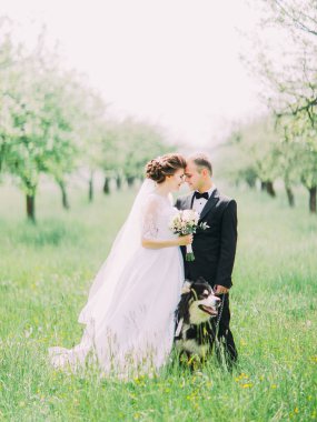 Kafa kafaya yeşil alanda siyah köpek arkasında duran mutlu yeni evliler dikey portresi.