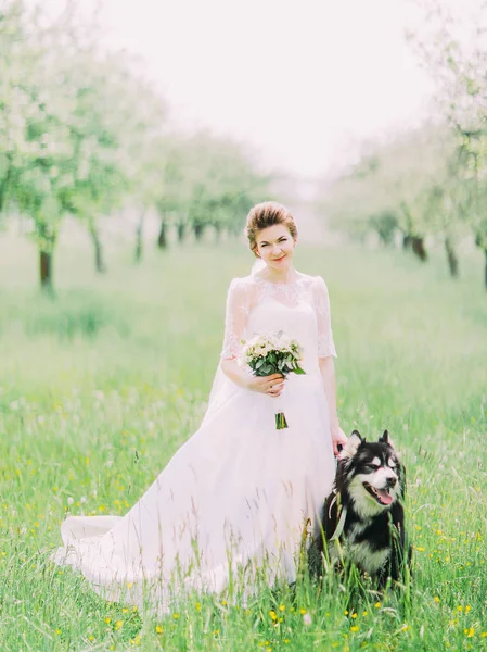 La sposa con il bouquet di nozze è in piedi vicino al cane nel campo soleggiato . — Foto Stock
