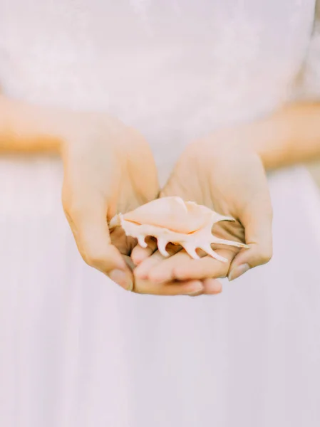 新娘手中的浅粉色贝壳. — 图库照片