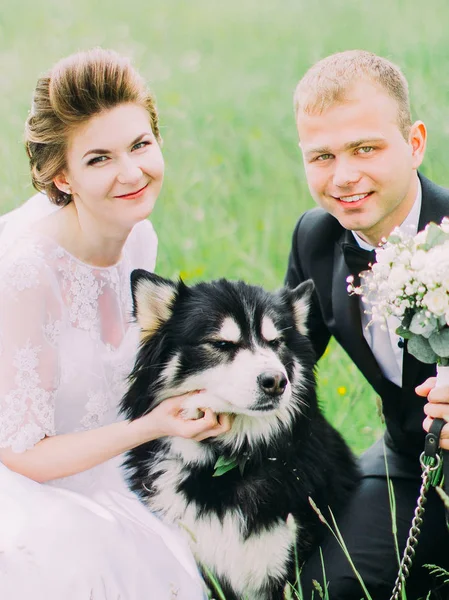 Il ritratto ravvicinato degli sposi sorridenti che accarezzano il cane nel campo verde . — Foto Stock